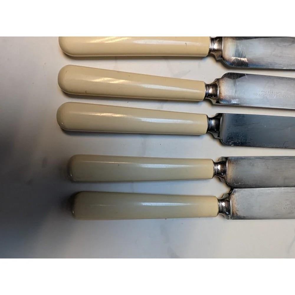 Antique Meriden Cutlery Celluloid Patent Ivory Dessert Knives Boxed 12